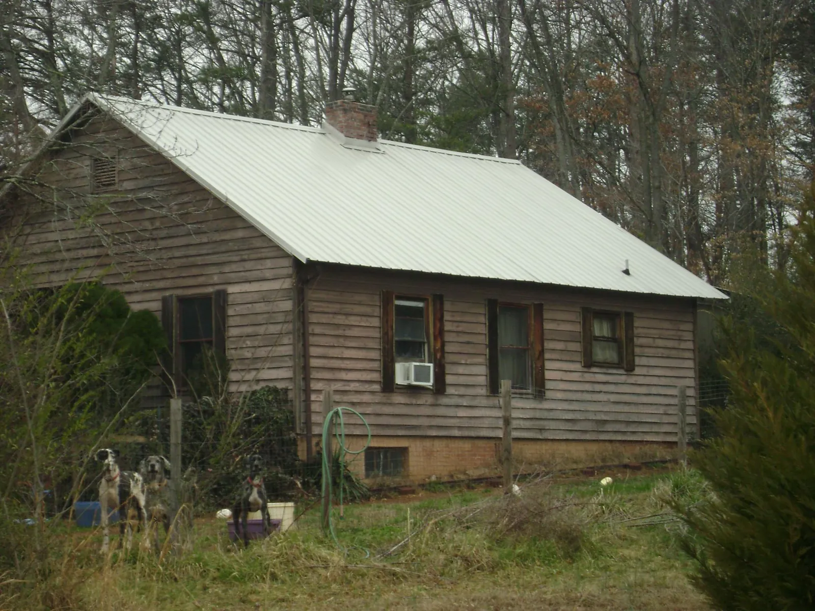 White metal roof on an old wood sided farmhouse, from a Asphalt Shingle Roof Repair job in Bluffton